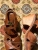 Screenshot 2026-08-24 at 19.45.38.png